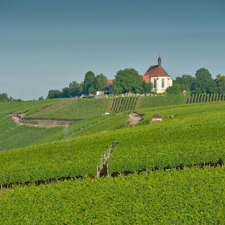 Vogelsburg Hotel Escherndorf Buitenkant foto