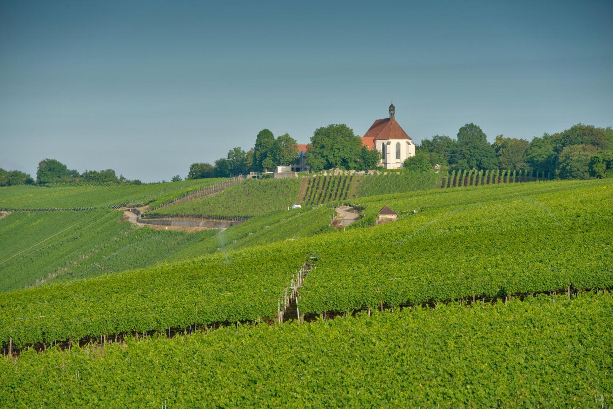 Vogelsburg Hotel Escherndorf Buitenkant foto