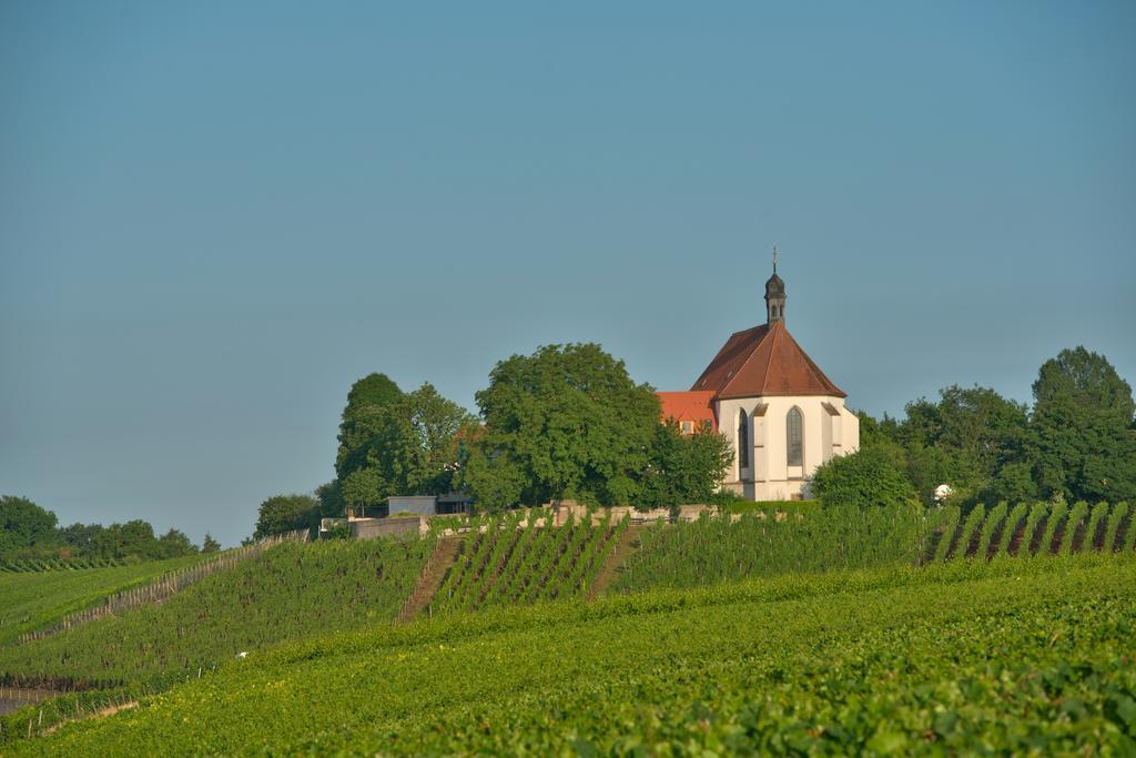 Vogelsburg Hotel Escherndorf Buitenkant foto