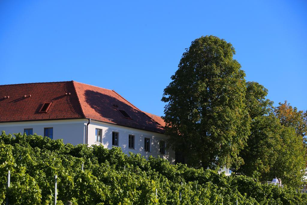 Vogelsburg Hotel Escherndorf Buitenkant foto
