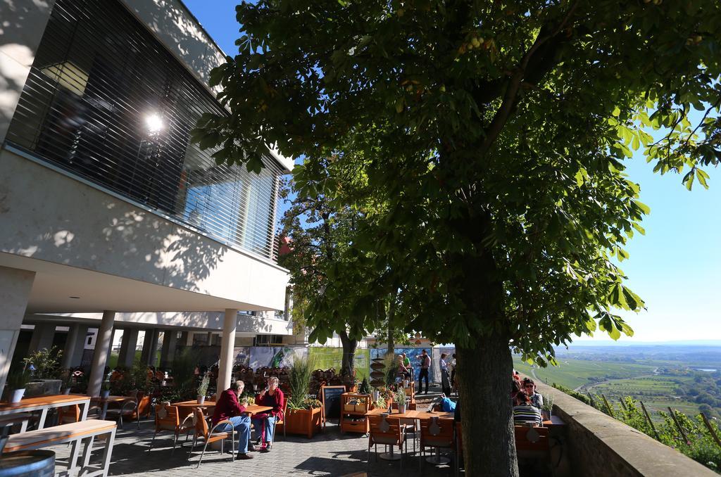 Vogelsburg Hotel Escherndorf Buitenkant foto