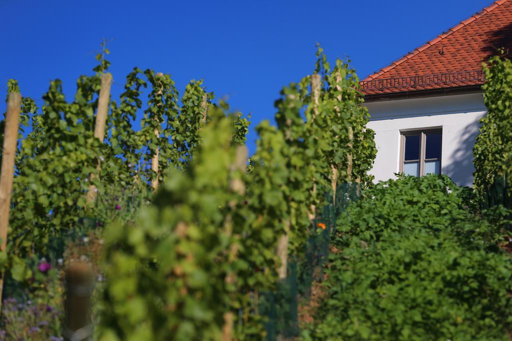 Vogelsburg Hotel Escherndorf Buitenkant foto