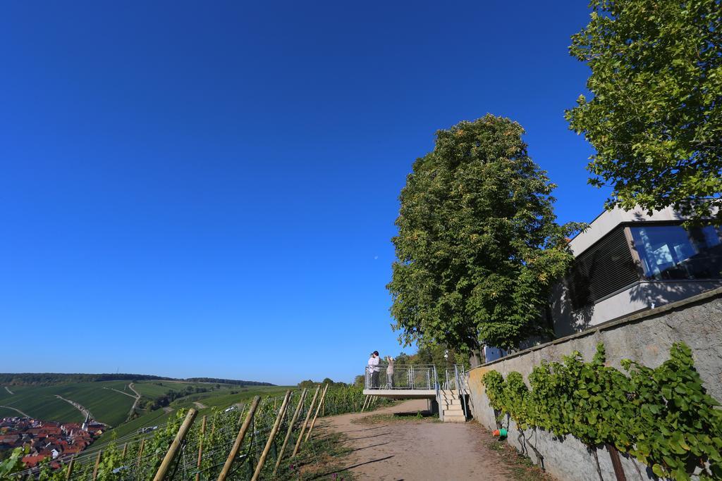 Vogelsburg Hotel Escherndorf Buitenkant foto
